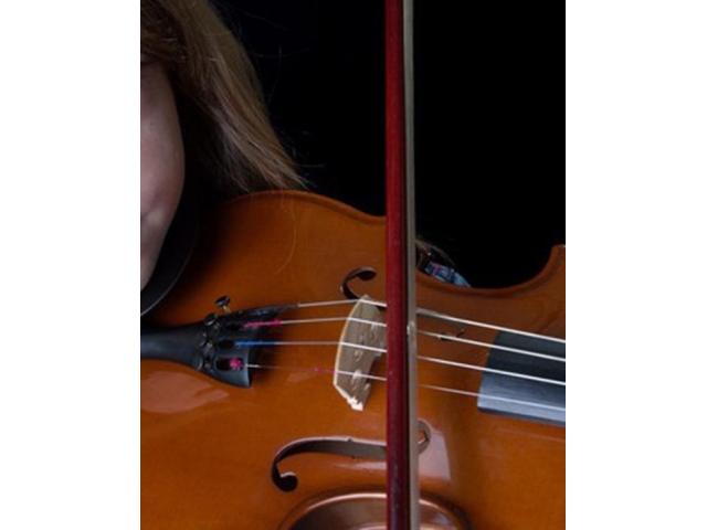 Arco Violino 4/4 Crina Natural em Madeira Talão de Ébano - 4/8