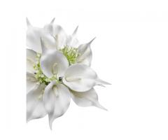 Buquê de Noiva Callas Brancas - Buquê Permanente Copo de Leite