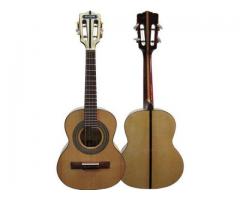 Encordoamento P/ Cavaquinho + 1 Corda Extra +1 Palheta de Brinde Nig N450
